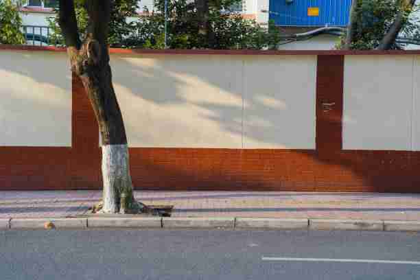 IP 进阶!久久影视影院年度榜单内行视角