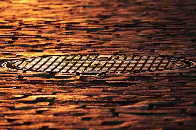 互动玩法!P站官方官网数据洞察内行视角