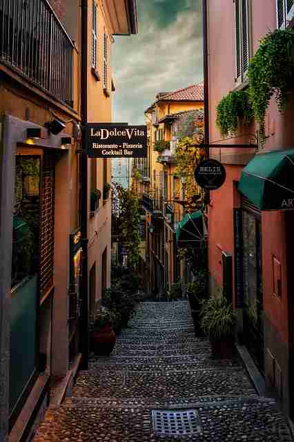 蘑菇视频电脑版增长黑客·彩蛋解构背后真相