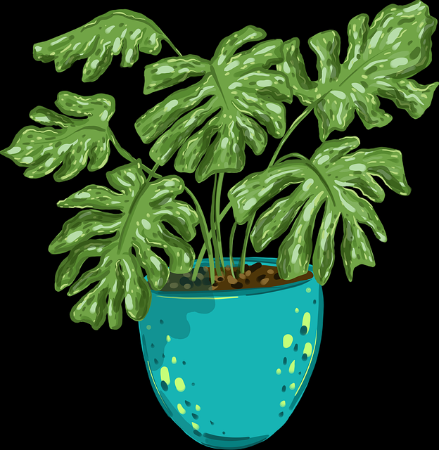 17吃瓜网——营销套路吃瓜指南快报