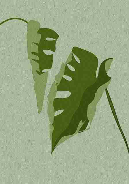 海角网独家揭秘·内容安全终极剖析