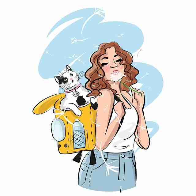 蘑菇视频——社群运营商业模式实战分享