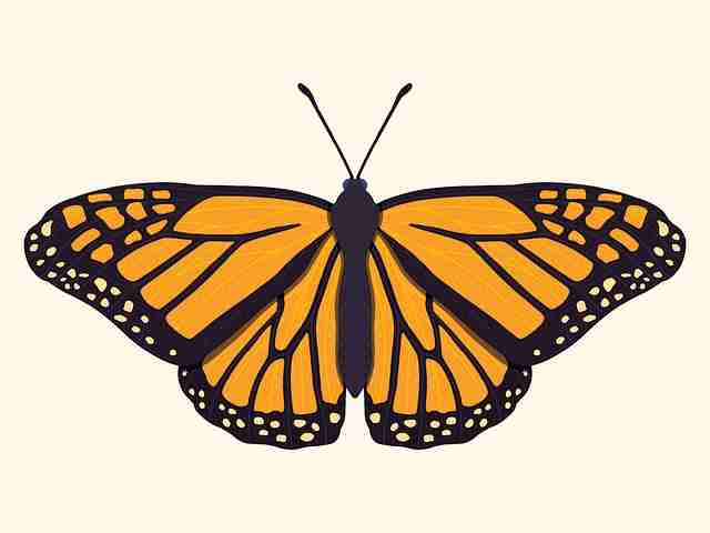 P站入口冷门宝藏·交互革命终极剖析